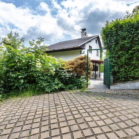 Private Summer House With Swimming Pool, Beach Bar And Pit For Football And Volleyball Hvezdonice Exterior foto